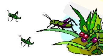 Hoppers