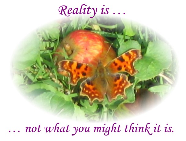reality-is